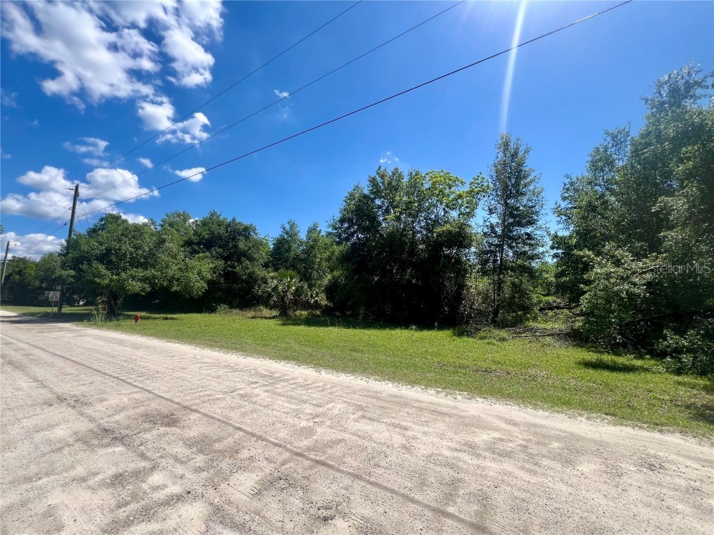 Owens Lane Umatilla FL 32784 G5097077 image1