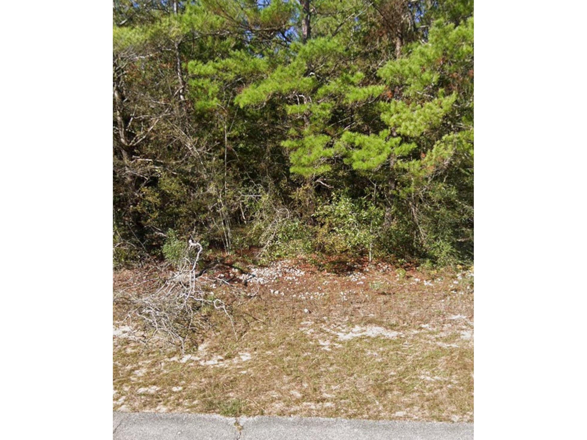 Oxford Avenue Chipley FL 32428 R4910258 image1