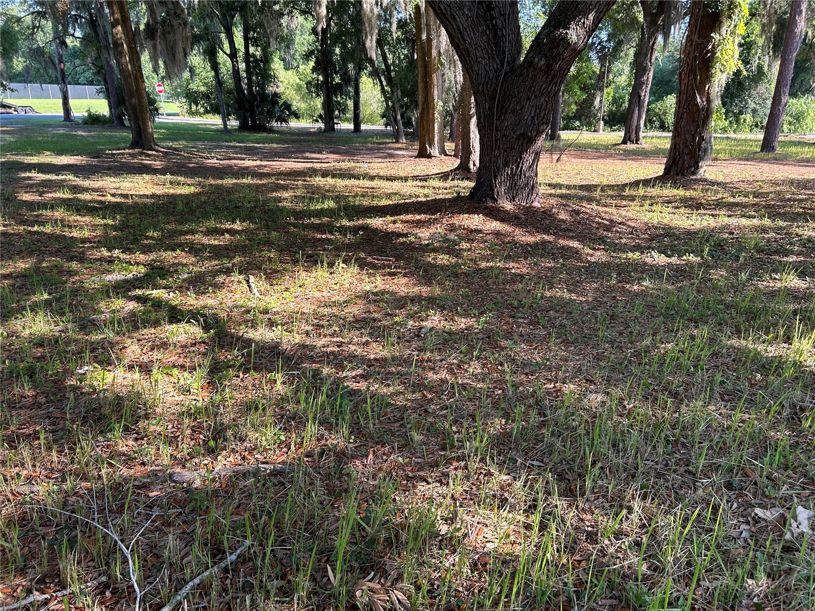  Ocala FL 34471 OM720455 image4