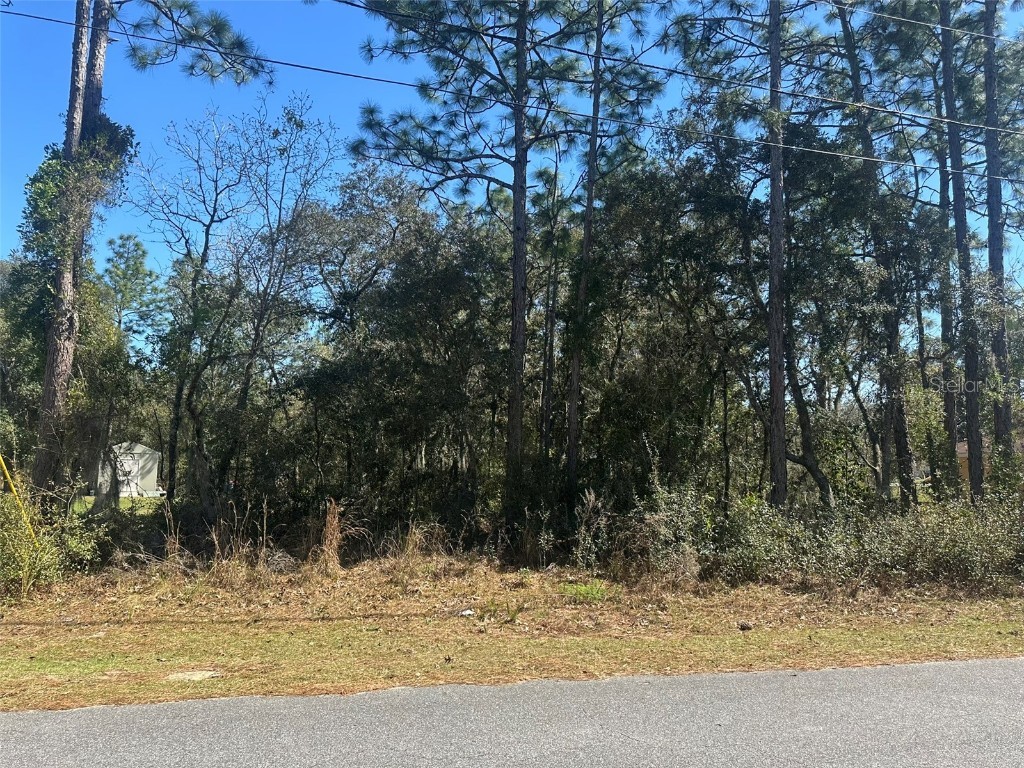  Ocala FL 34472 OM697140 image1