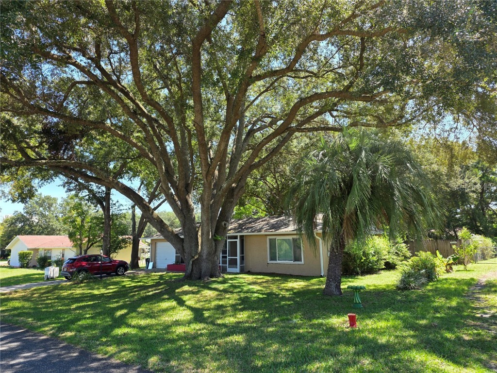  Ocala FL 34472 OM709635 image1