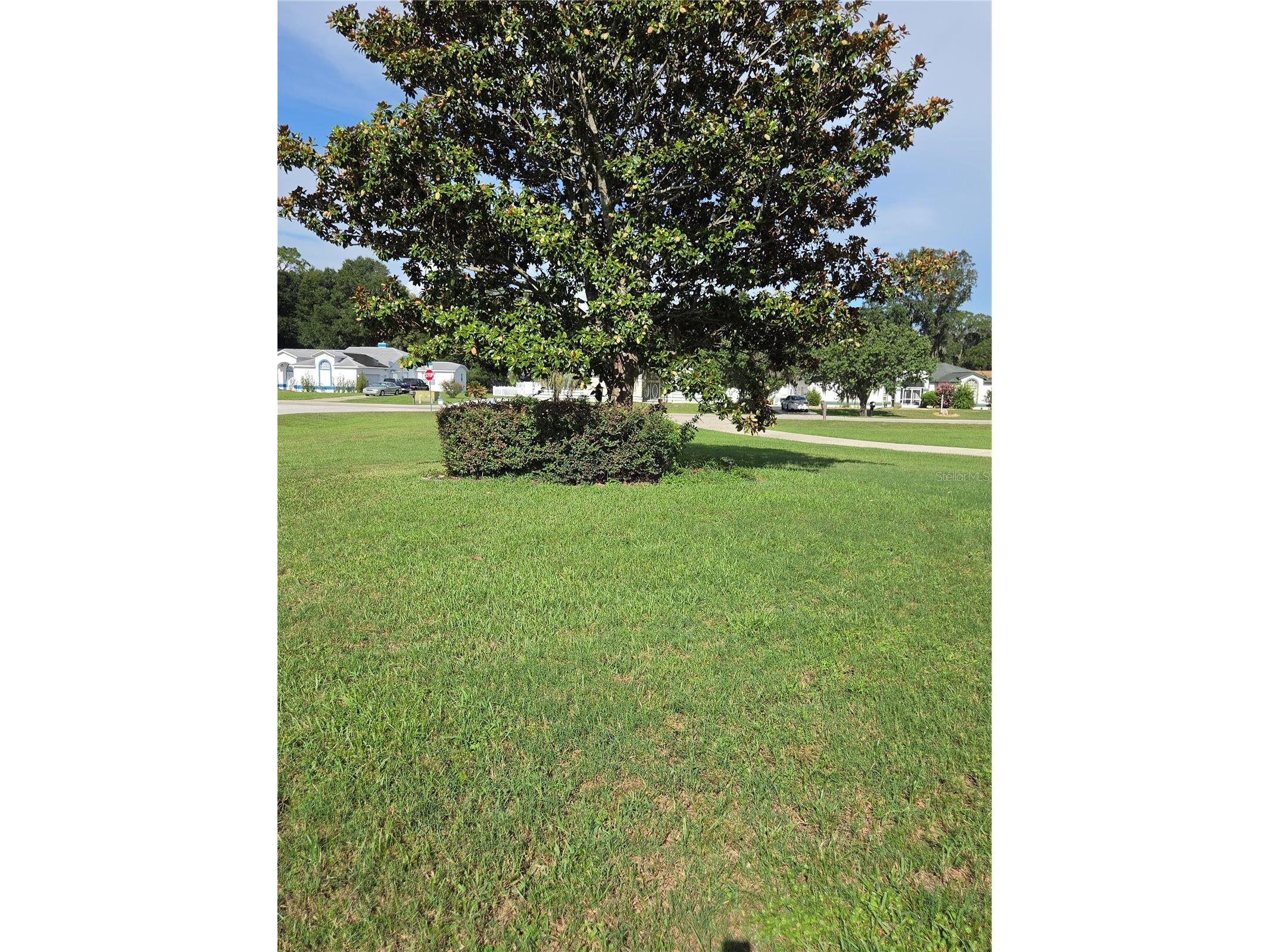  Ocala FL 34476 OM728307 image19