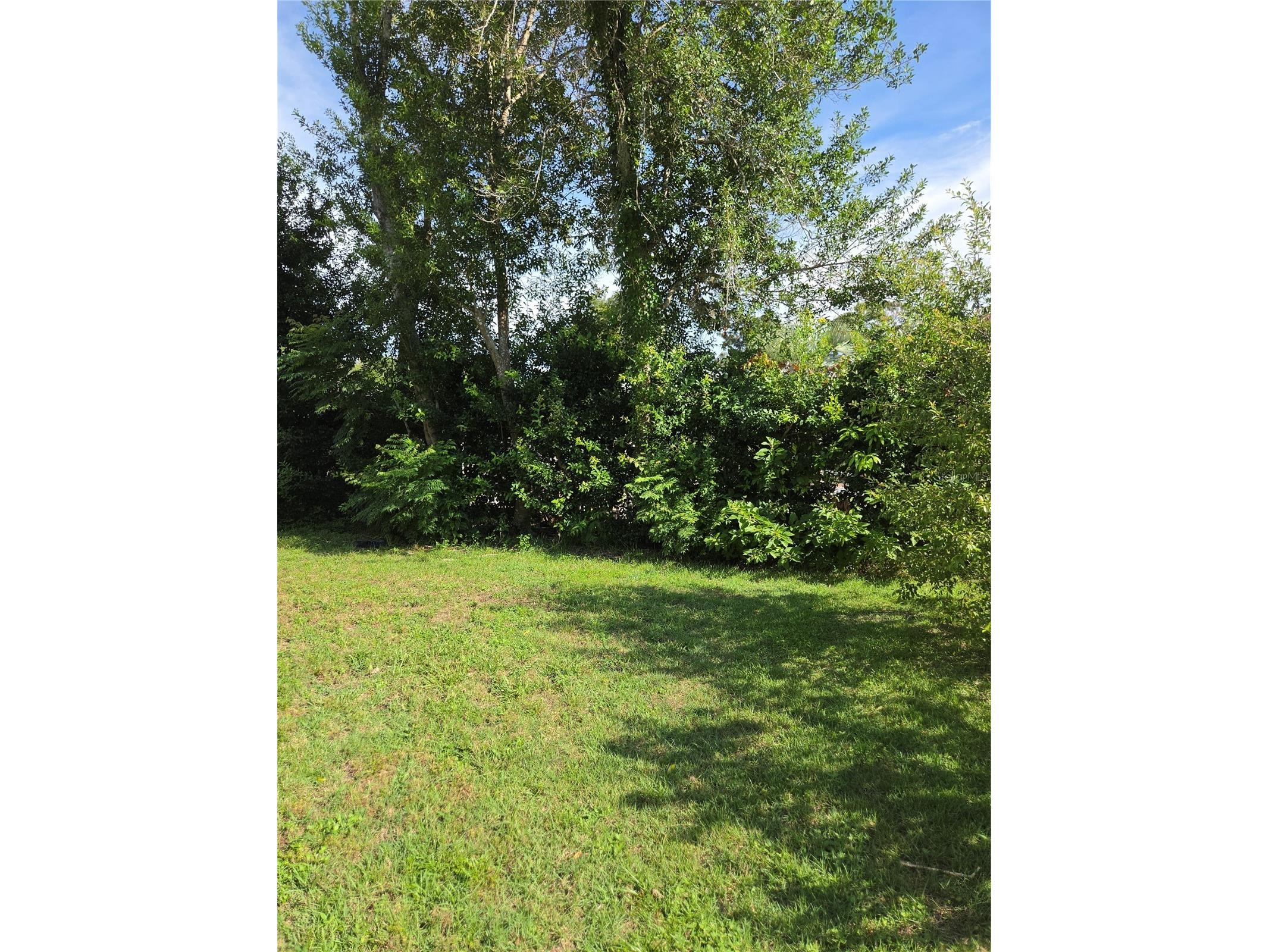  Ocala FL 34476 OM728307 image8