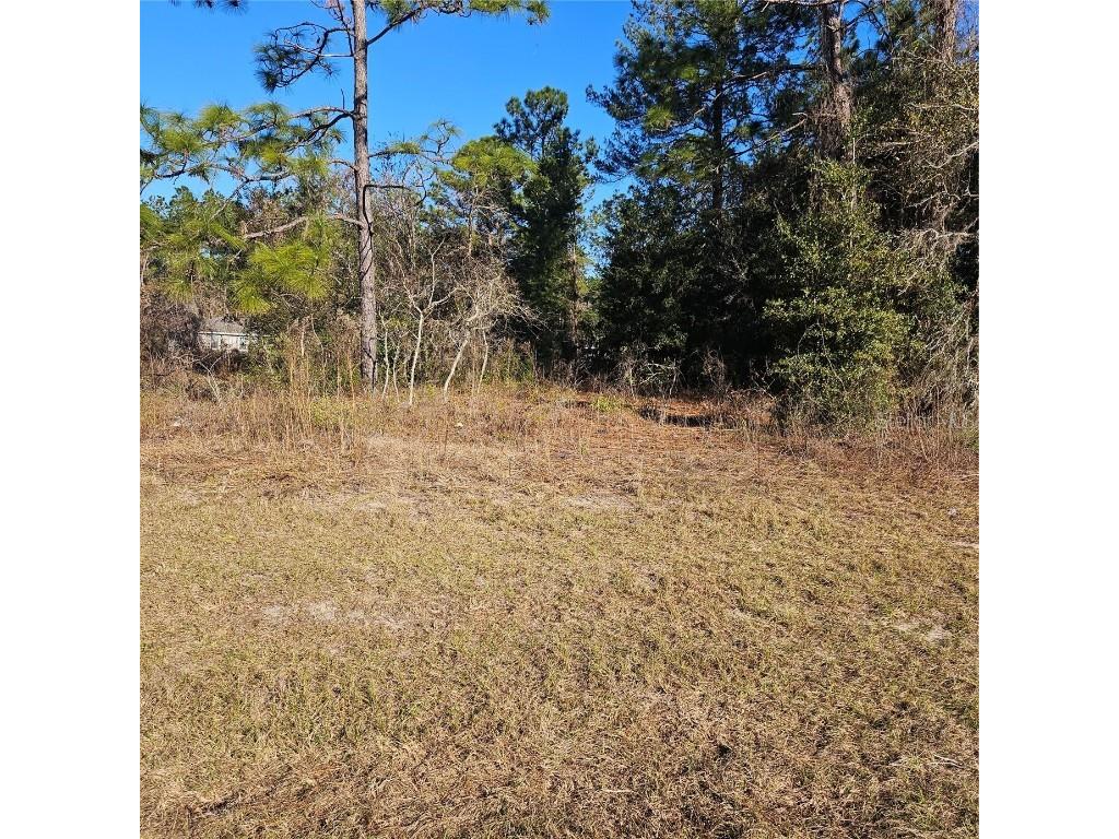  Ocala FL 34476 S5119343 image1