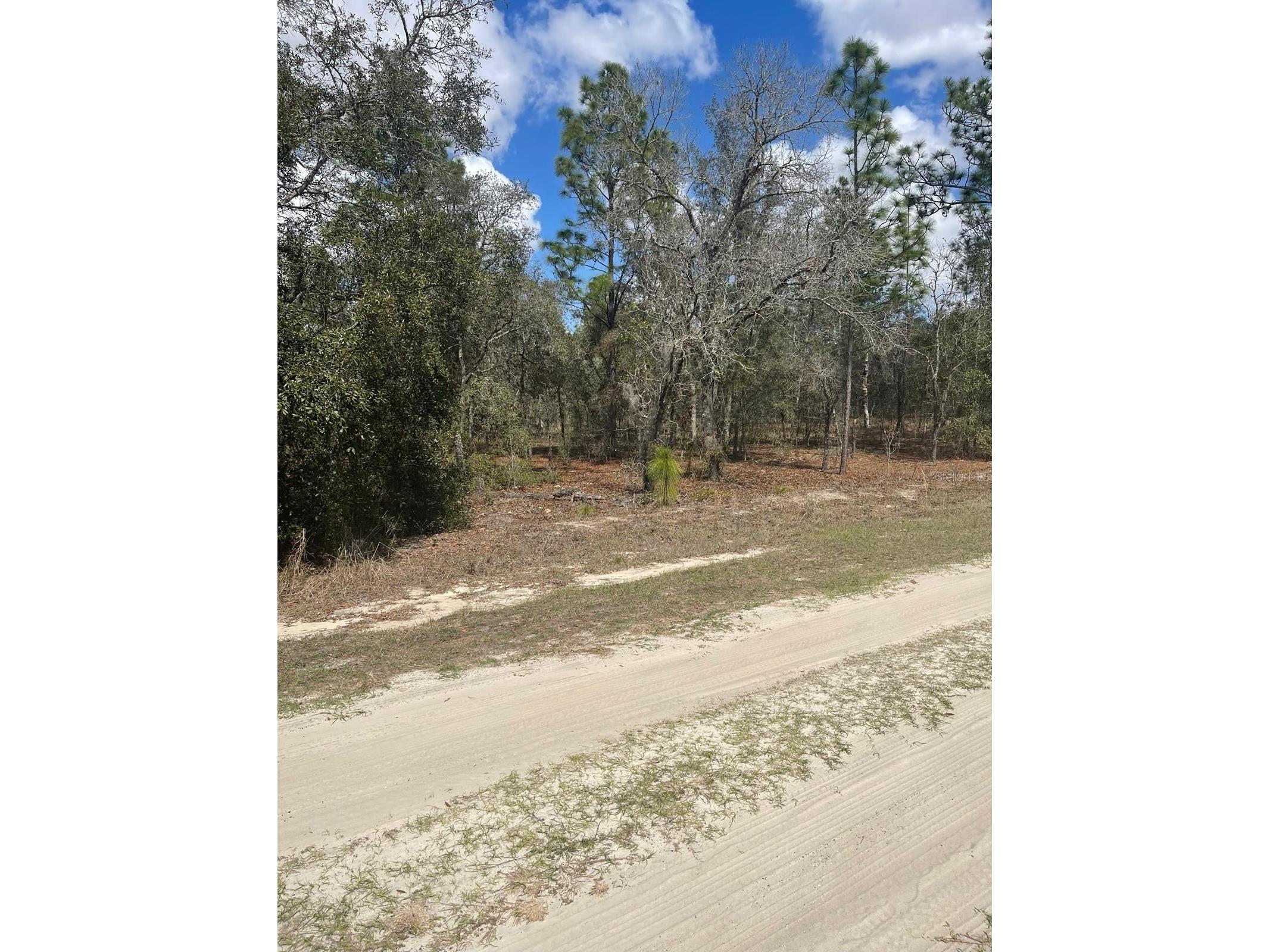  Ocala FL 34481 OM720009 image2