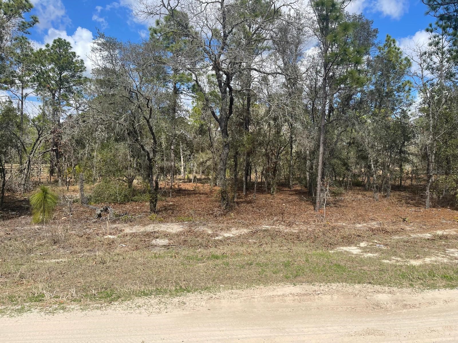 Ocala FL 34481 OM720009 image3
