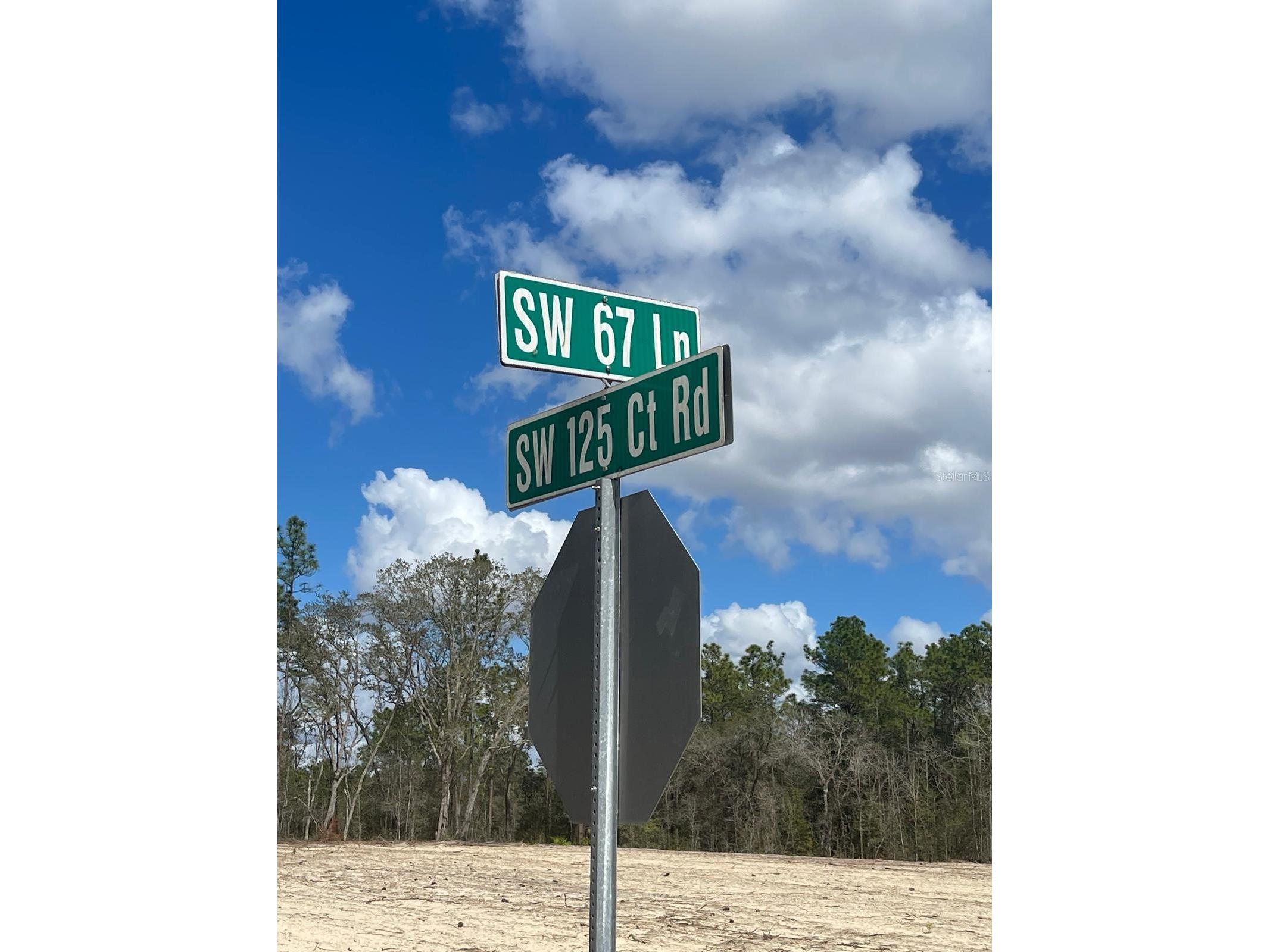  Ocala FL 34481 OM720009 image4