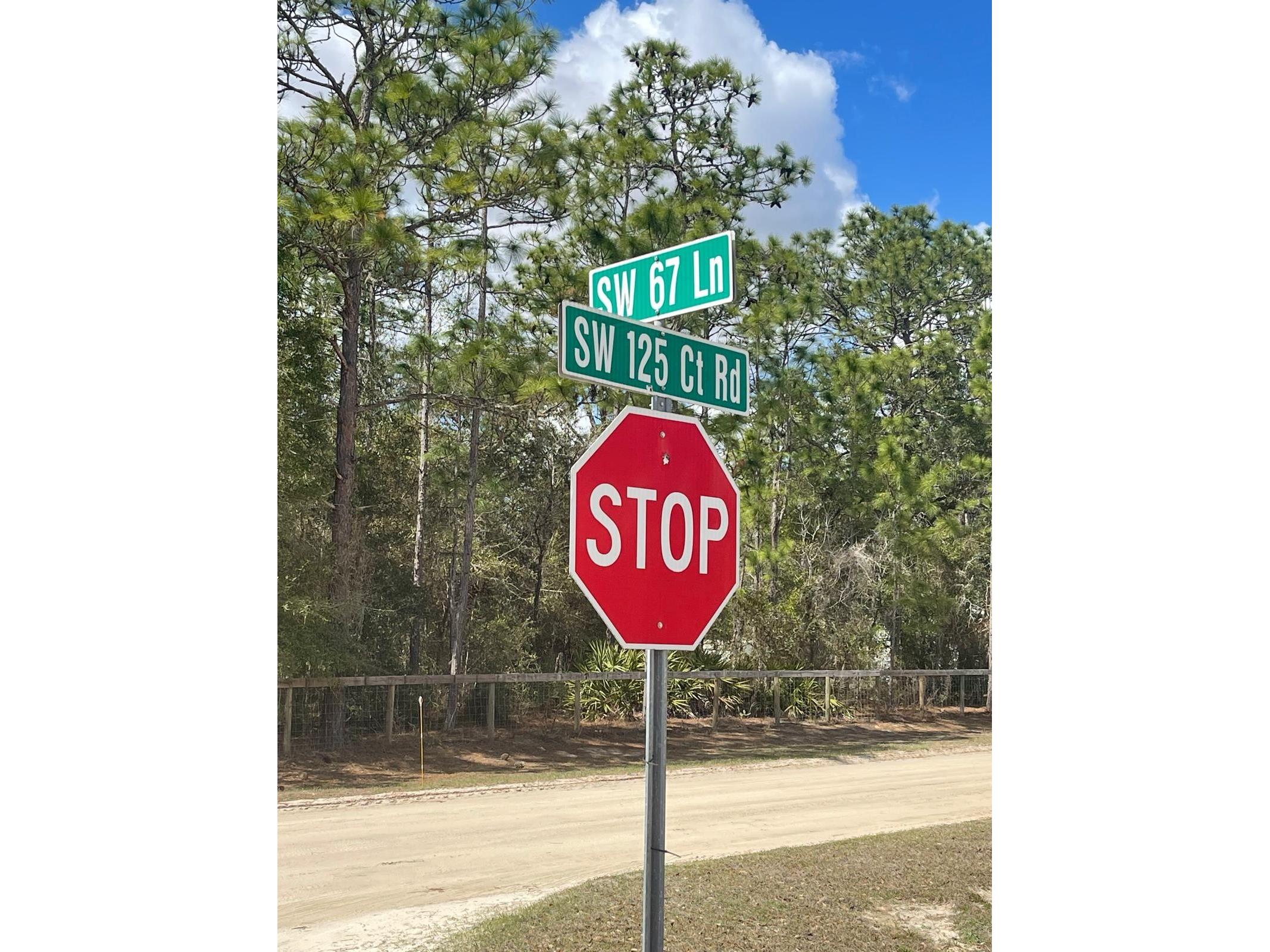  Ocala FL 34481 OM720009 image5