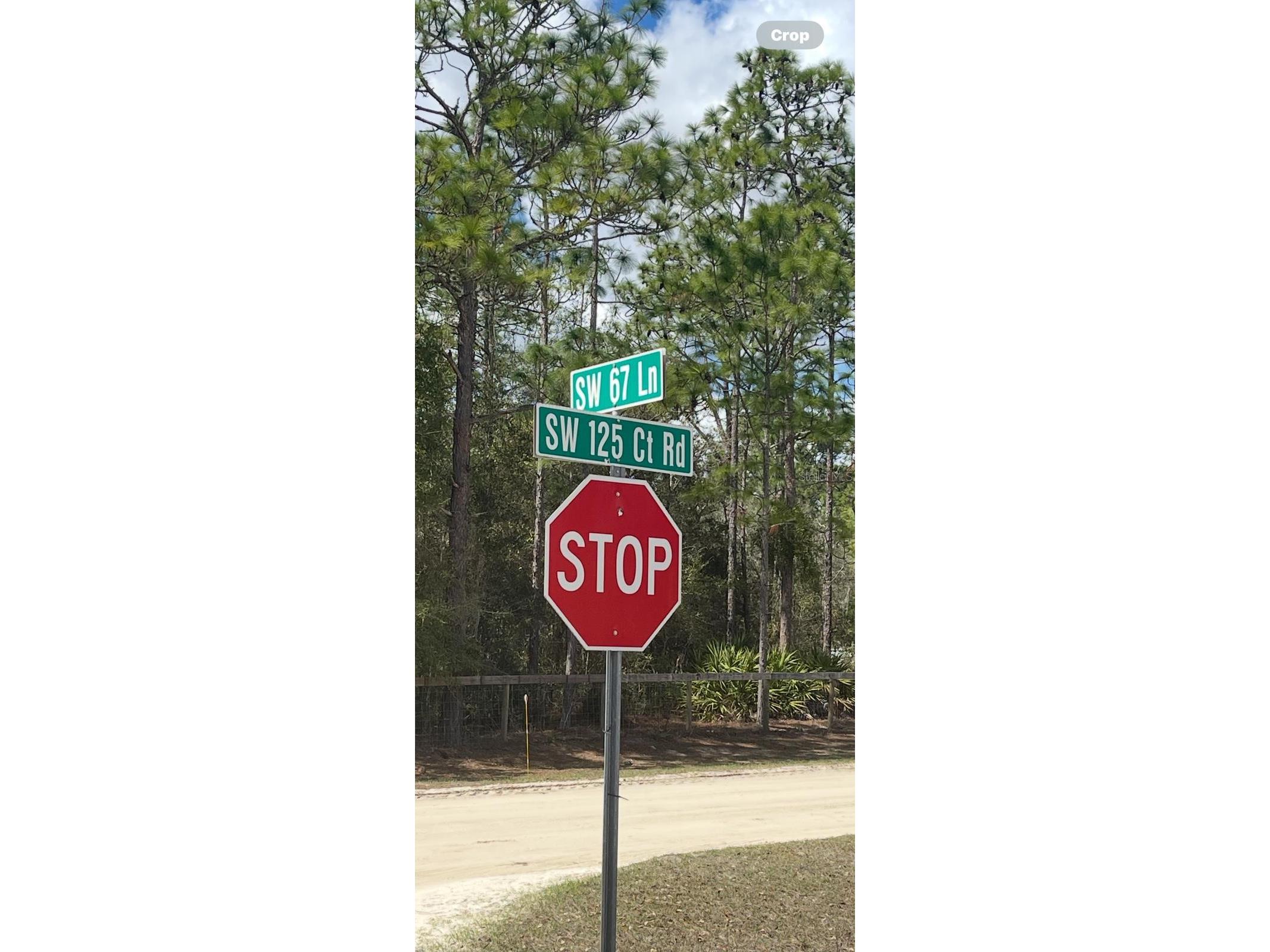  Ocala FL 34481 OM720009 image6