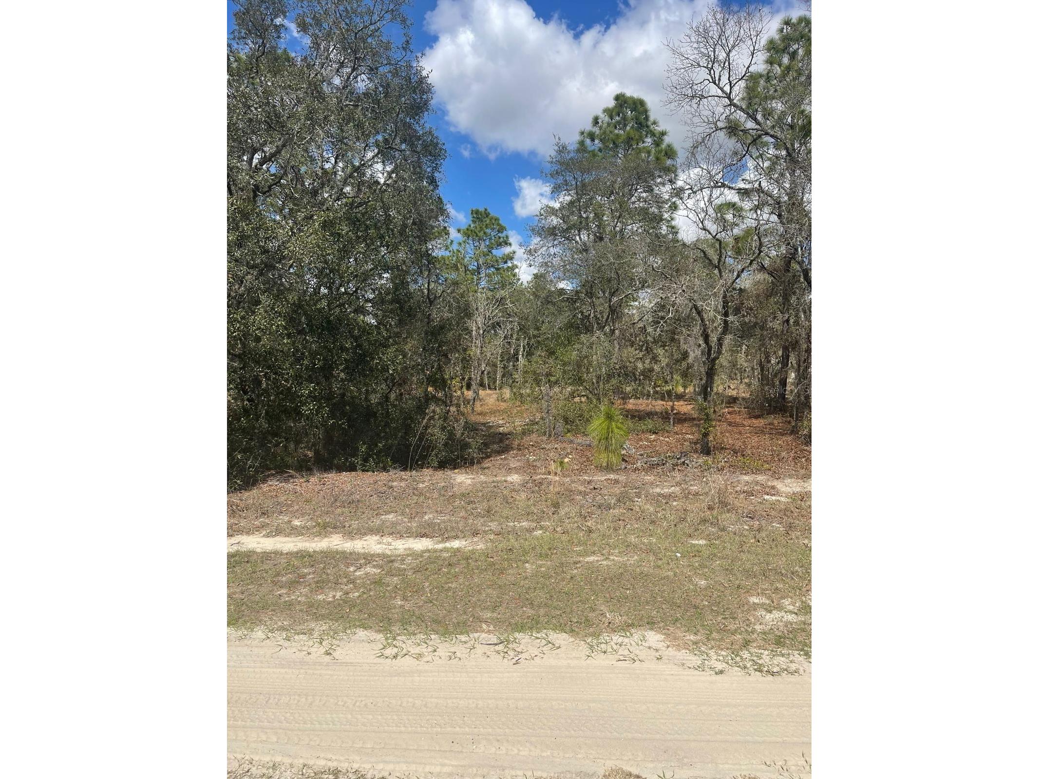  Ocala FL 34481 OM720009 image7