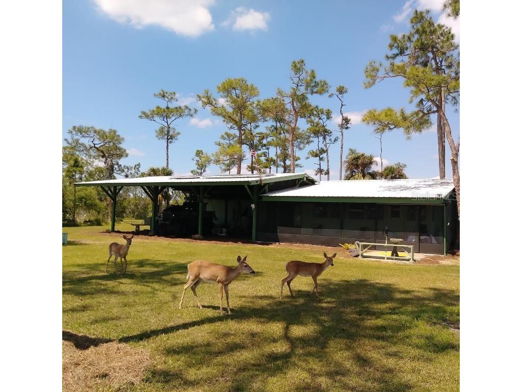  Ochopee FL 34141 TB8336399 image3