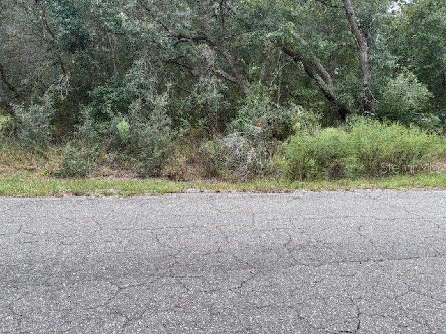  Ocklawaha FL 32179 O6355392 image10