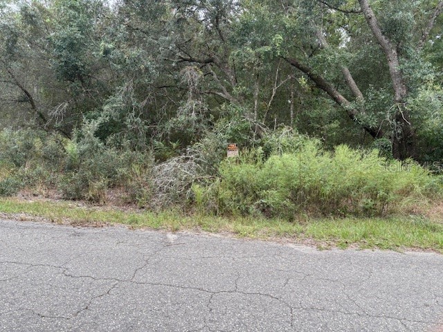  Ocklawaha FL 32179 O6355392 image4