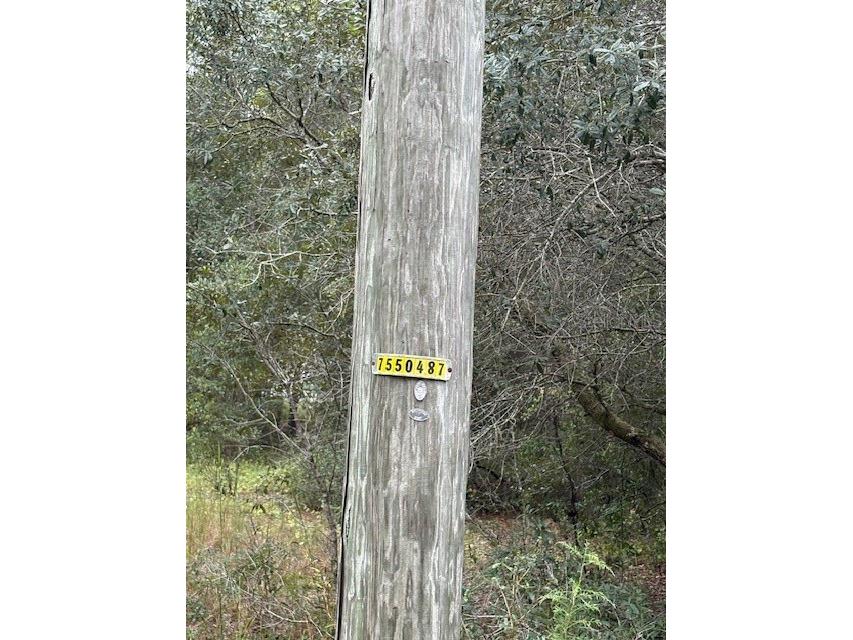  Ocklawaha FL 32179 O6355392 image5