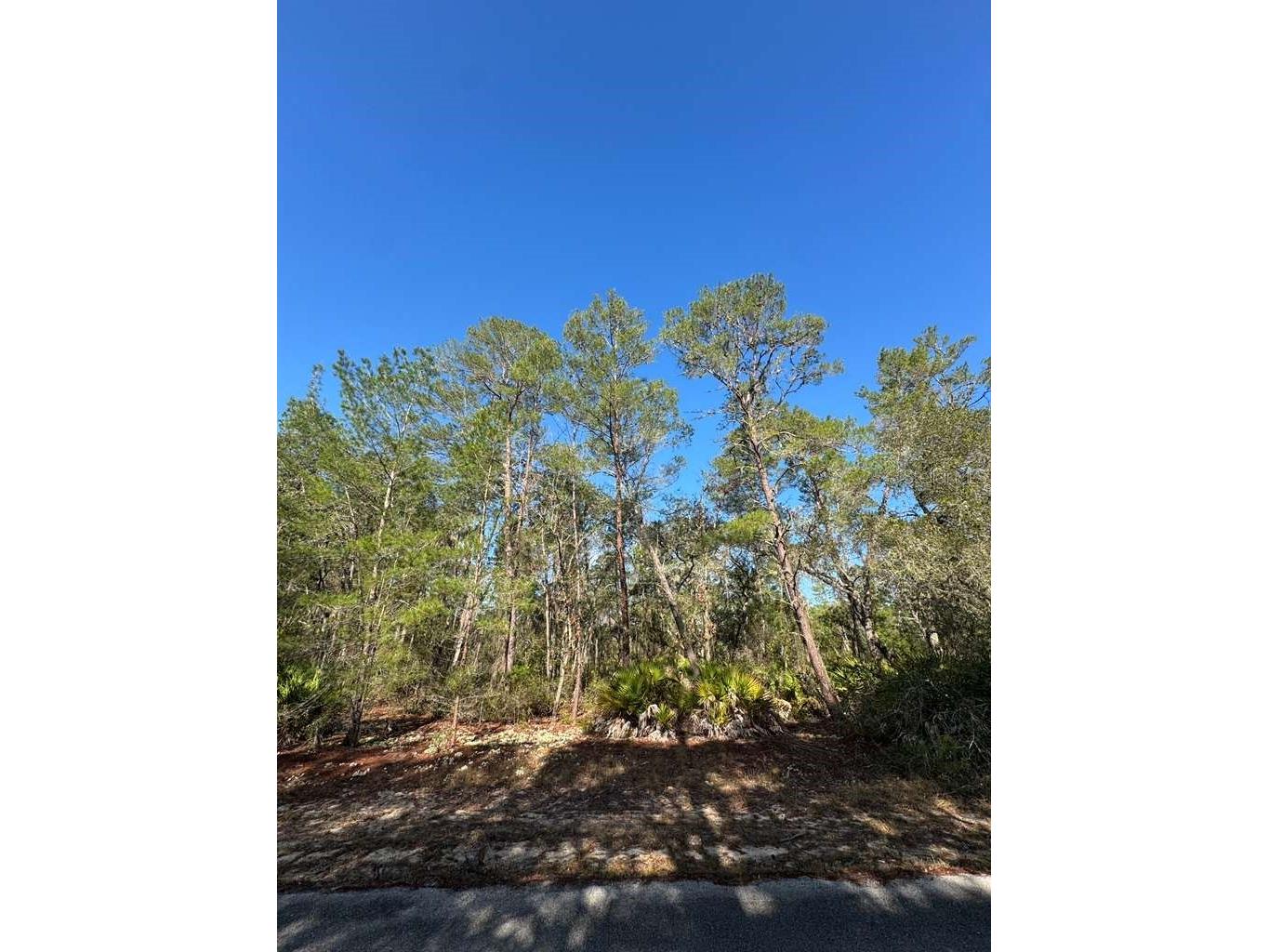  Ocklawaha FL 32179 O6382489 image1