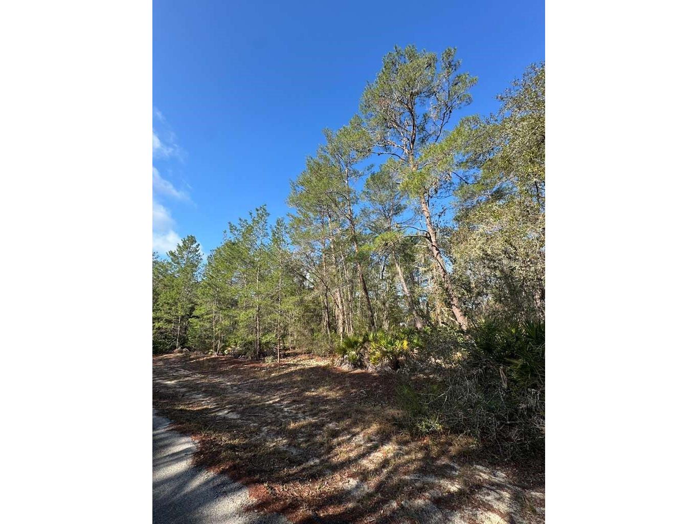  Ocklawaha FL 32179 O6382489 image3