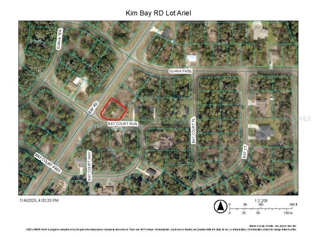  Ocklawaha FL 32179 OM712960 image1