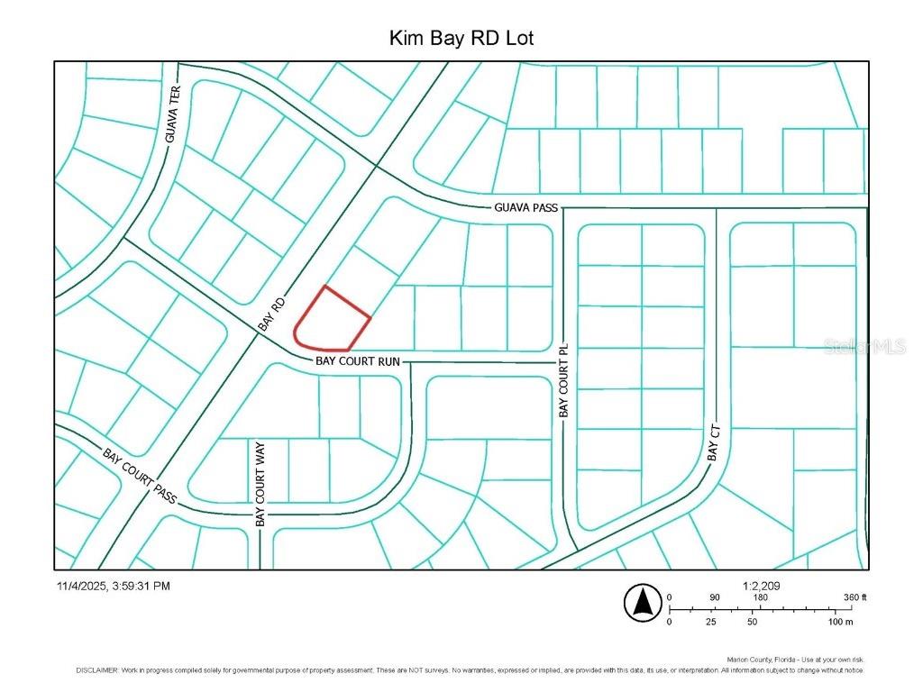  Ocklawaha FL 32179 OM712960 image2