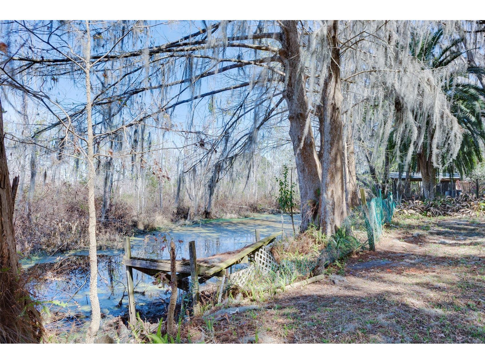  Ocklawaha FL 32179 OM720963 image2