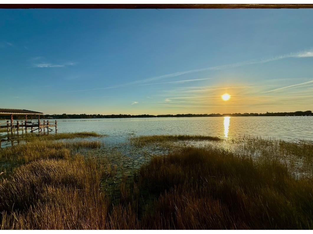 715 E Silver Star Road Ocoee FL 34761 - STARKE LAKE O6361125 image13