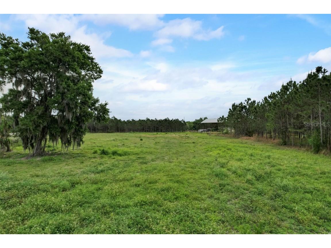  Odessa FL 33556 - LAKE CALM T3522954 image7