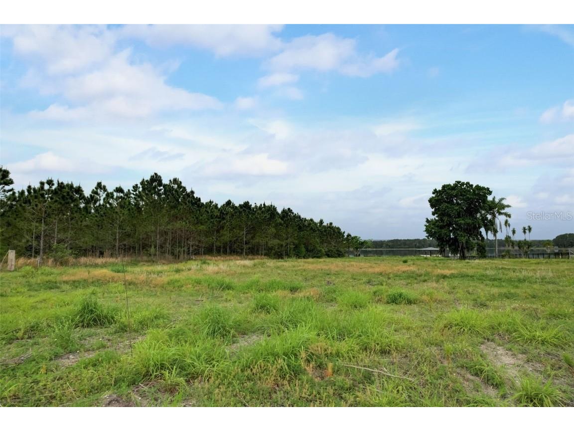  Odessa FL 33556 - LAKE CALM T3522954 image8