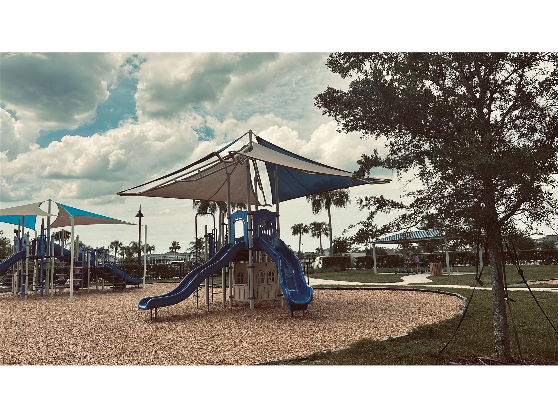 2968 Suncoast Blend Drive Odessa FL 33556 TB8494531 image37