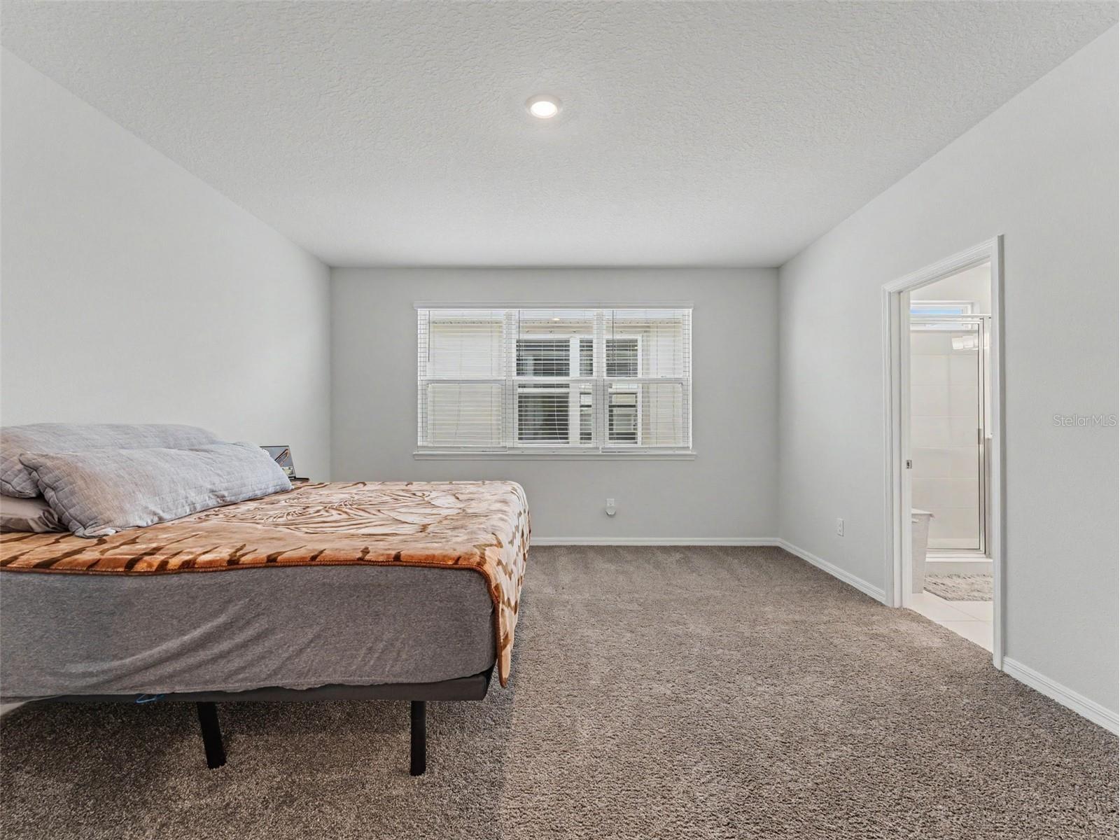 13631 Rangeland Boulevard Odessa FL 33556 W7886965 image34