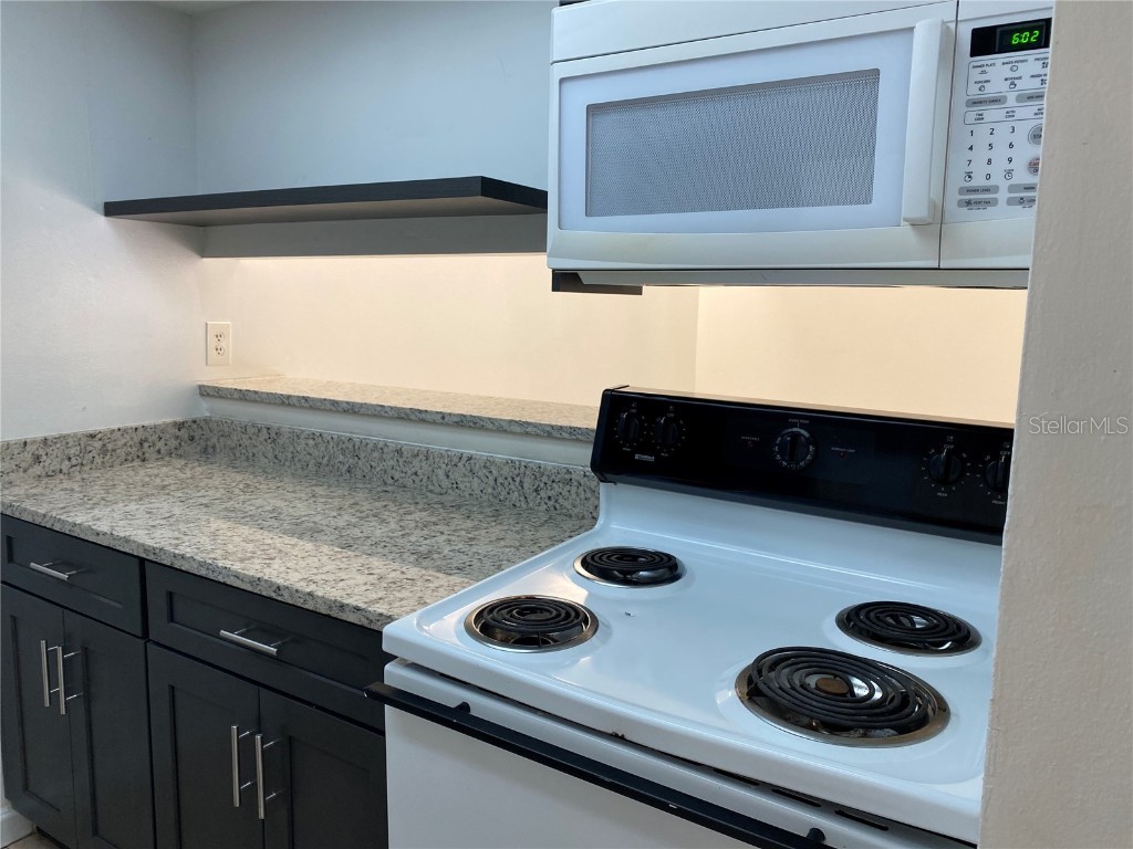  Orlando FL 32809 - LAKE JESSAMINE O6296106 image3