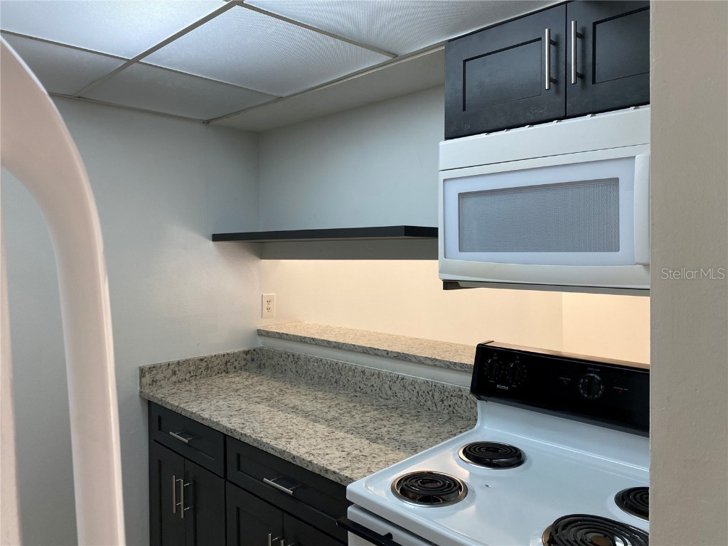  Orlando FL 32809 - LAKE JESSAMINE O6296106 image6