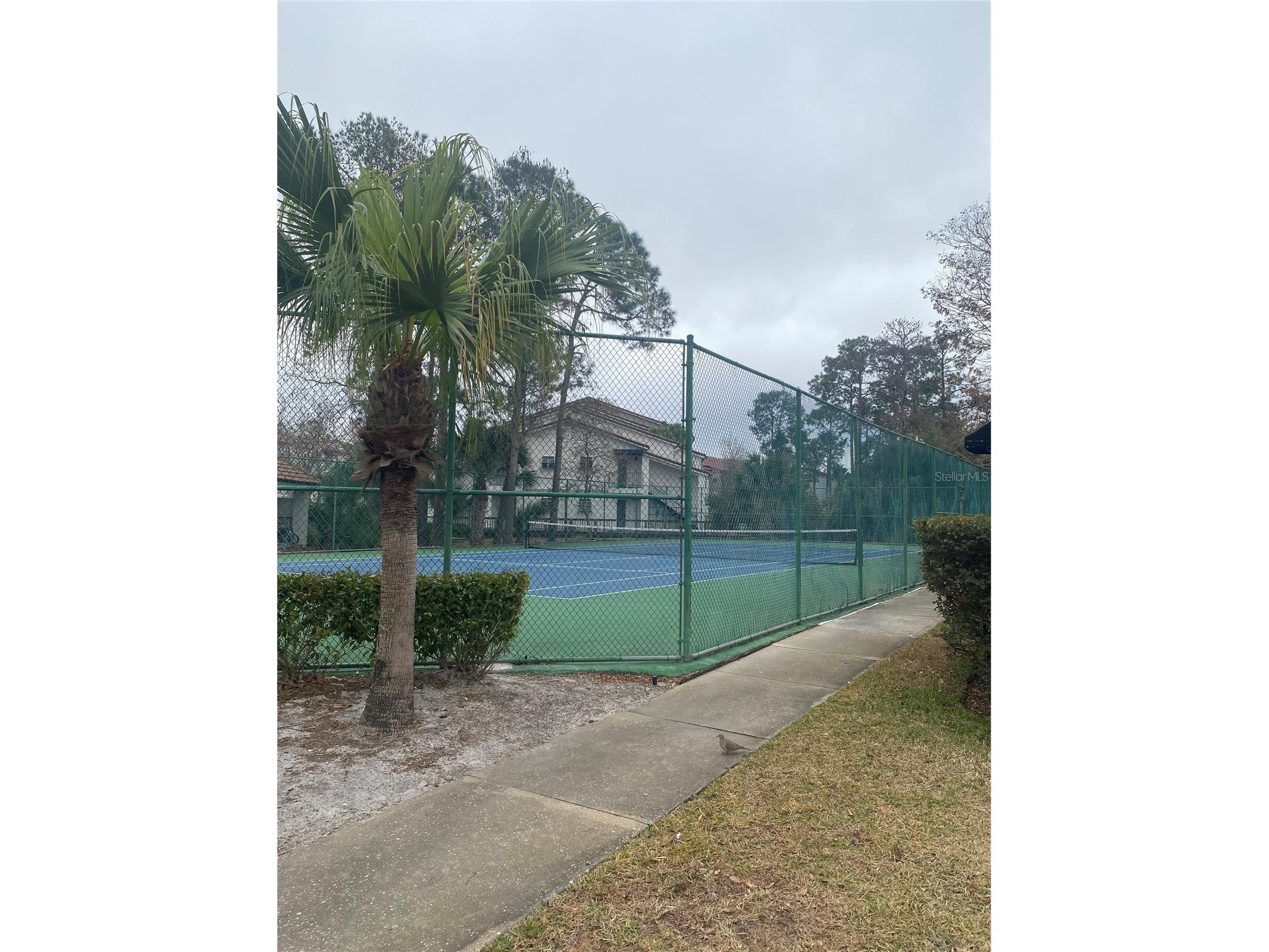  Orlando FL 32811 O6382761 image16