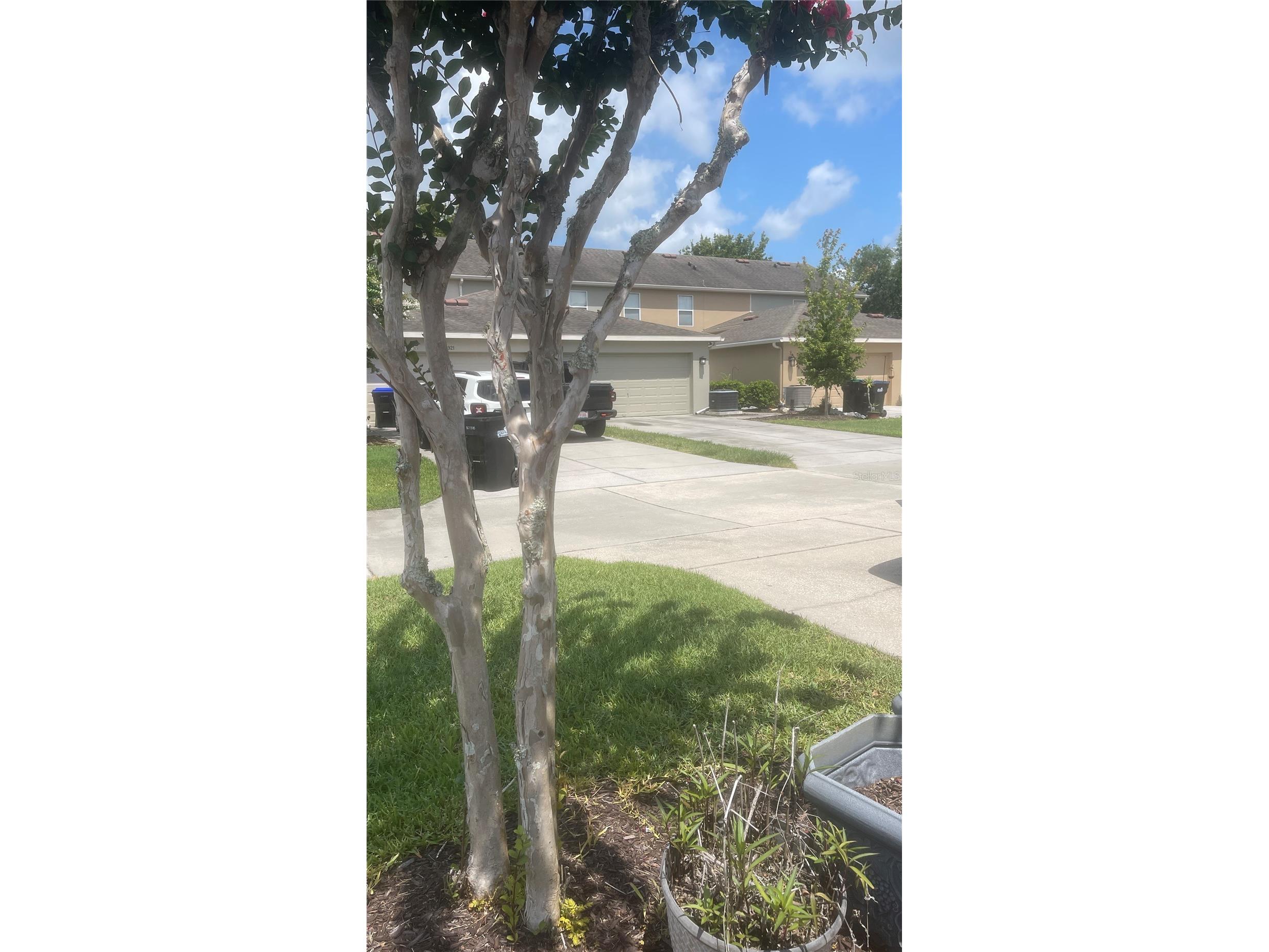  Orlando FL 32828 O6419450 image43