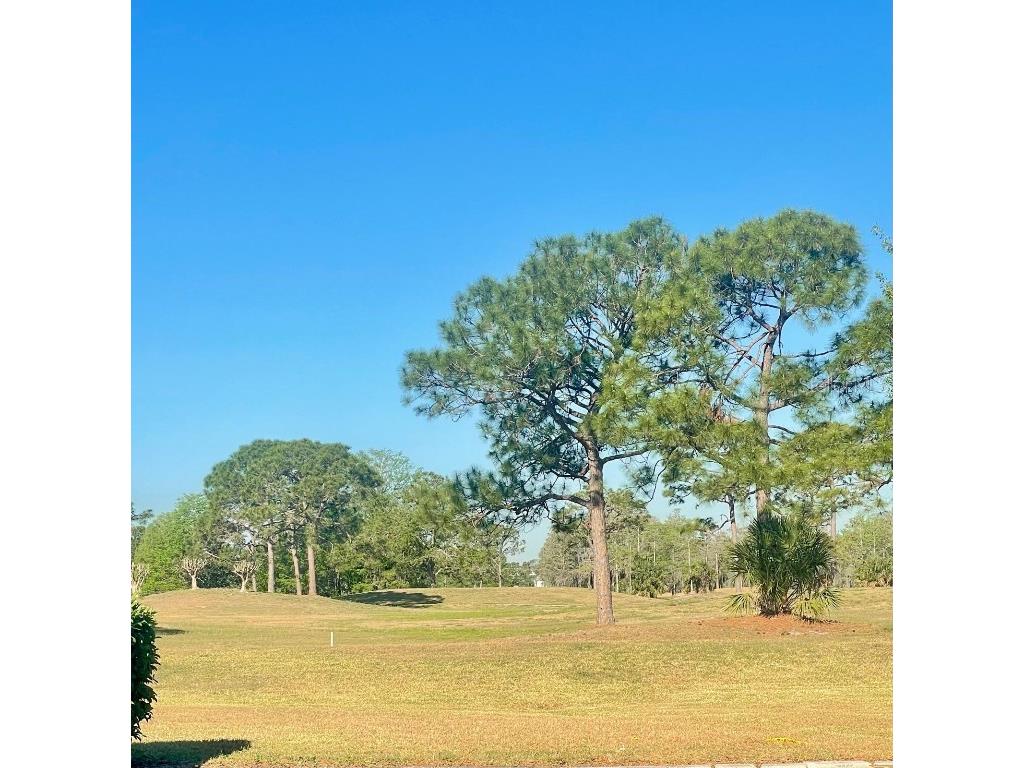 13905 Fairway Island Drive #1027 Orlando FL 32837 O6296283 image10