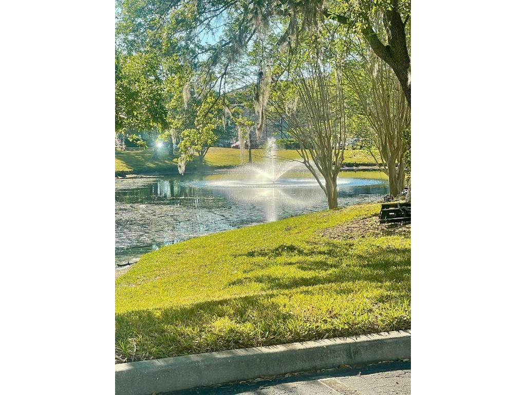 13905 Fairway Island Drive #1027 Orlando FL 32837 O6296283 image11