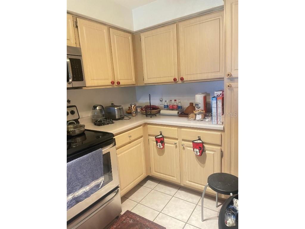 13905 Fairway Island Drive #1027 Orlando FL 32837 O6296283 image4