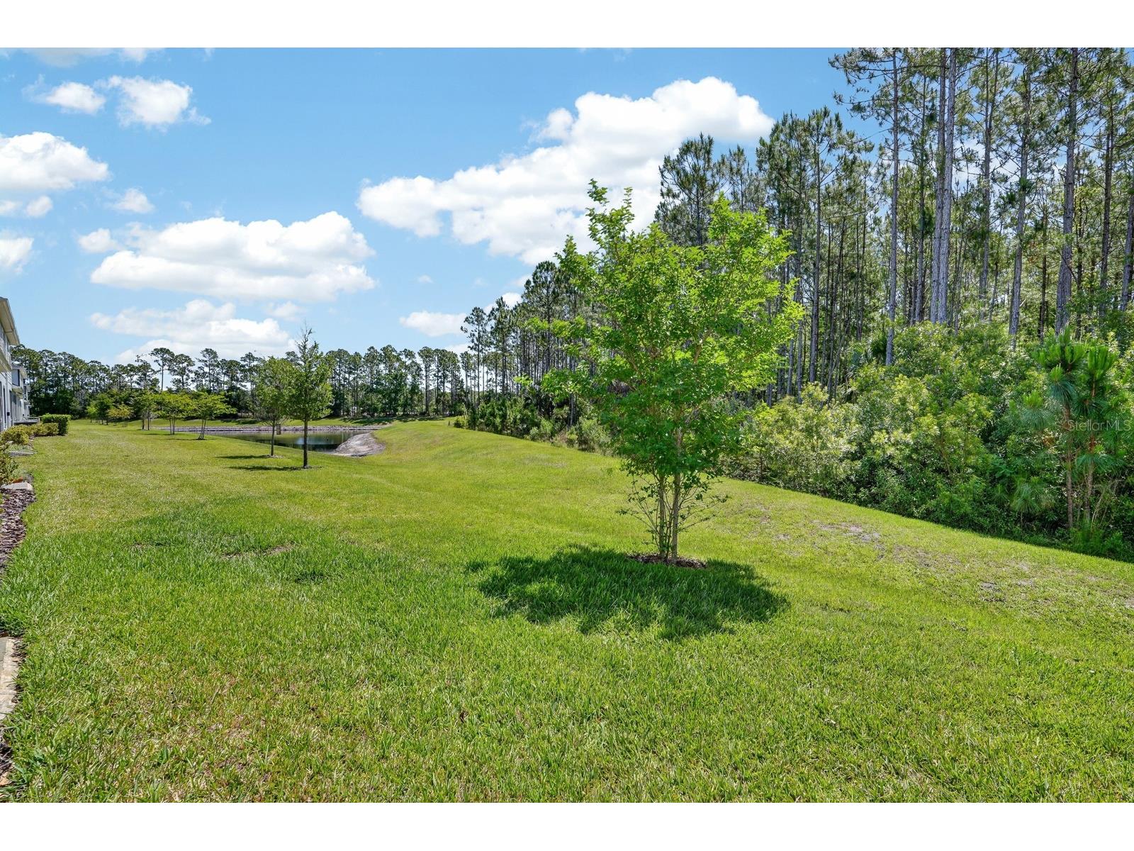  Ormond Beach FL 32174 V4948918 image27