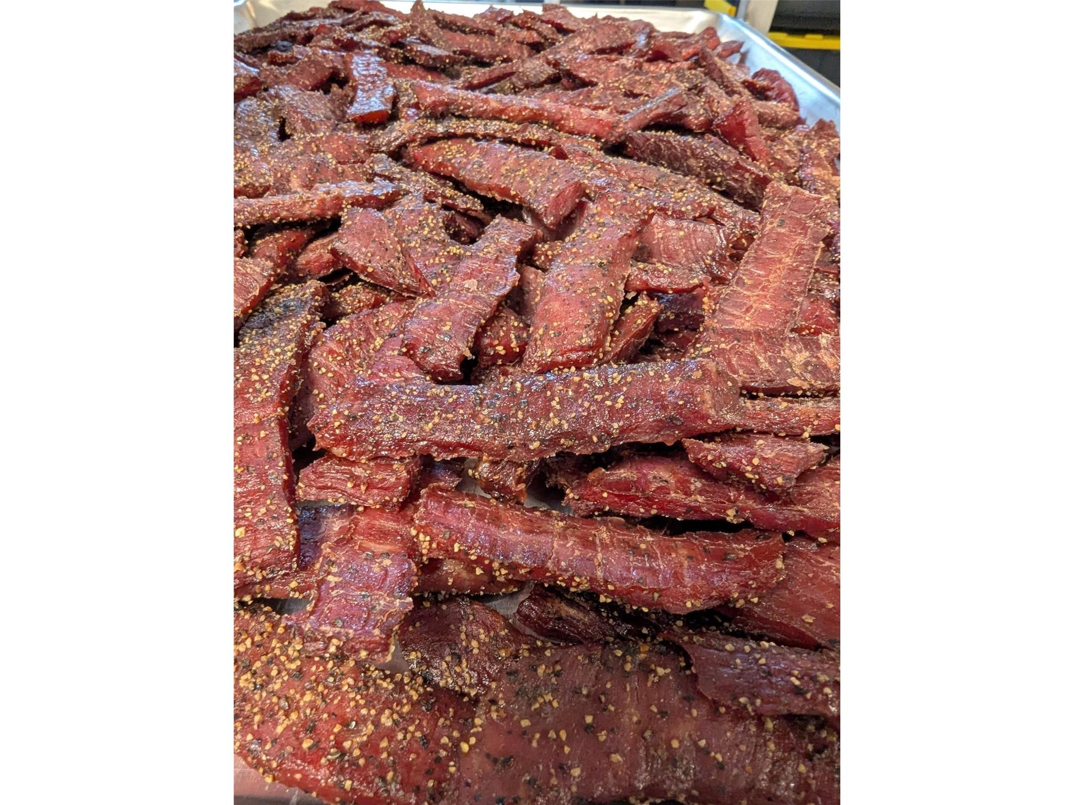  Ormond Beach FL 32174 W7884409 image19