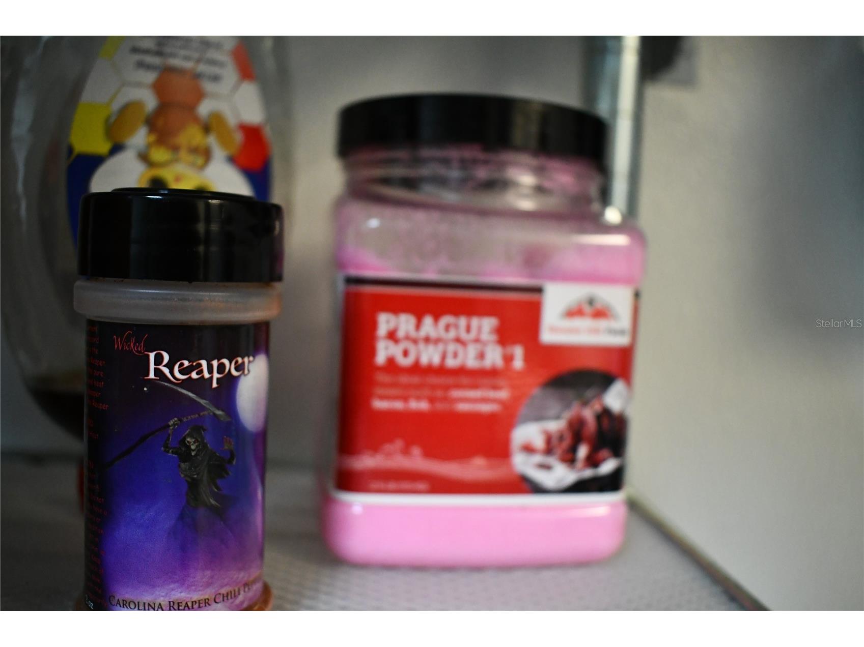  Ormond Beach FL 32174 W7884409 image29