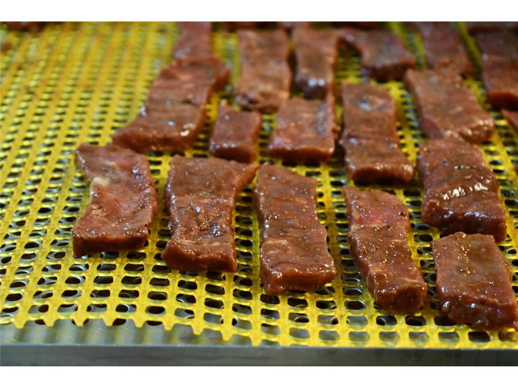  Ormond Beach FL 32174 W7884409 image4