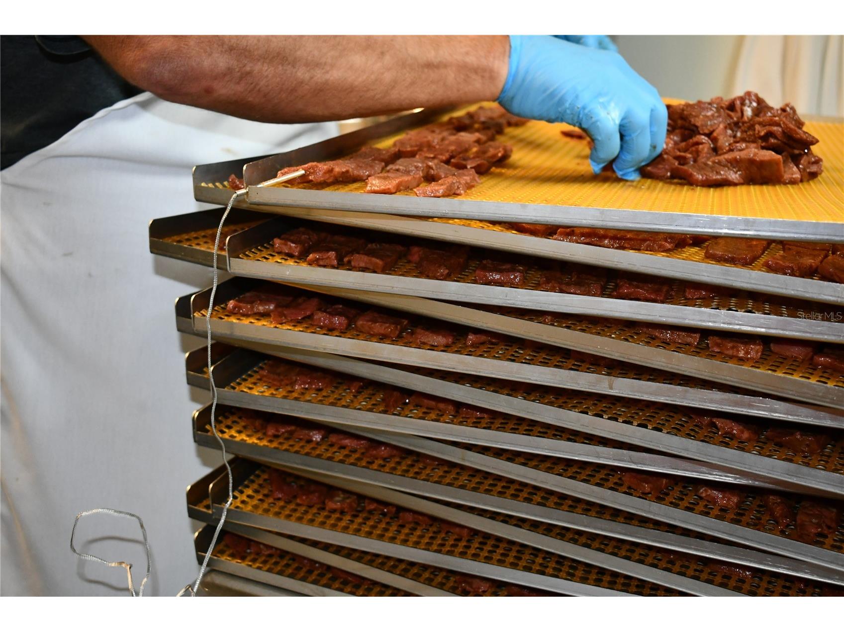  Ormond Beach FL 32174 W7884409 image49