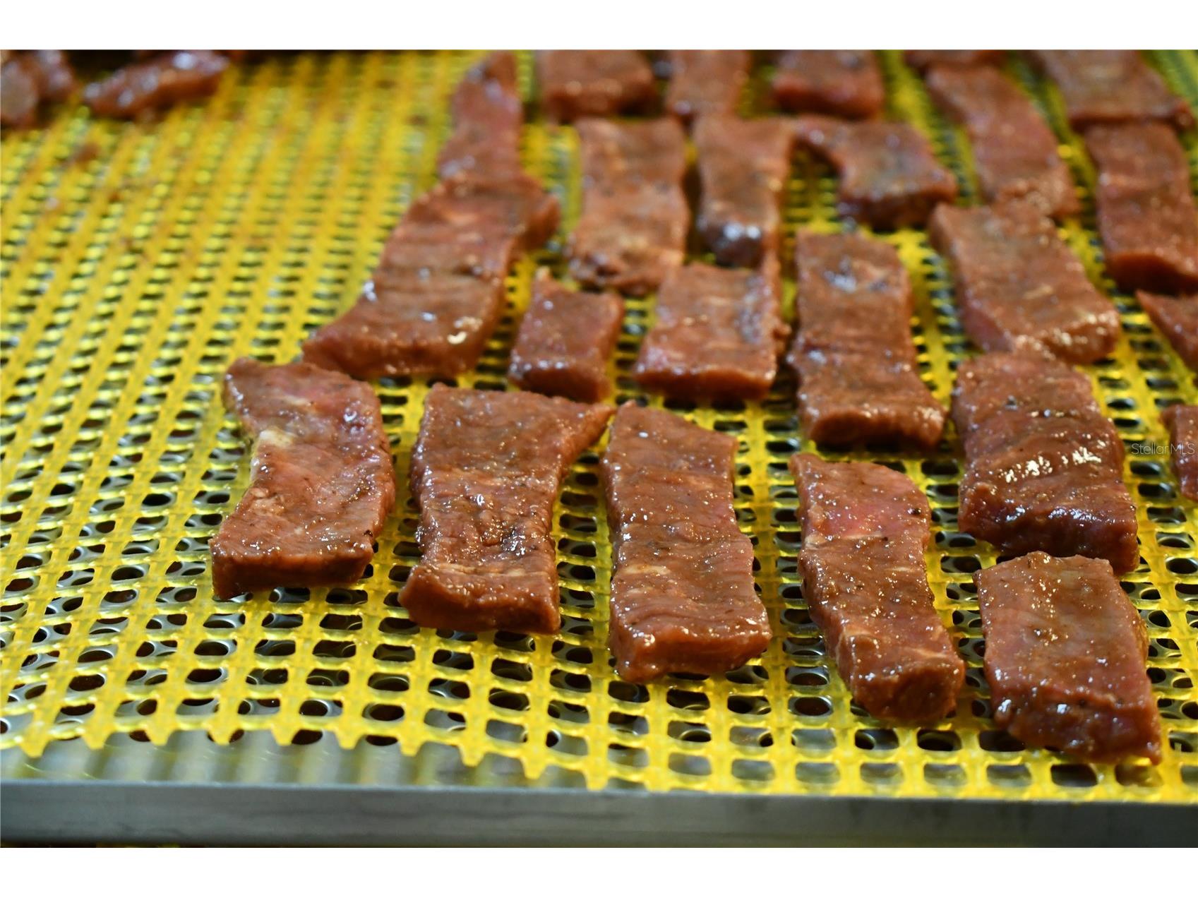  Ormond Beach FL 32174 W7884409 image5