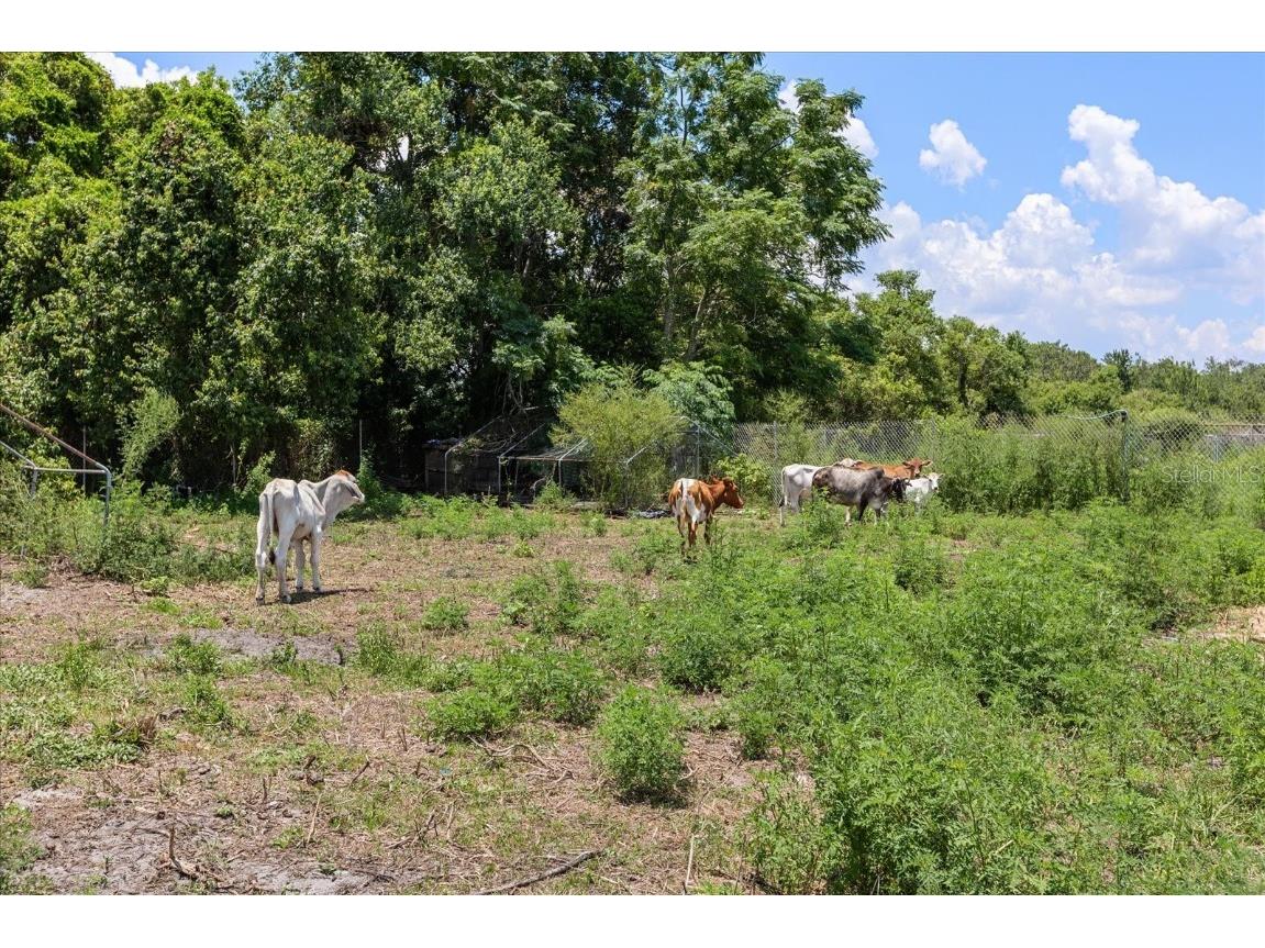  Oviedo FL 32765 O6331813 image69