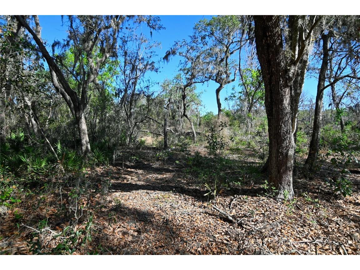 Pablo Island Road Groveland FL 34736 - BIG BLUFF LAKE R4909058 image1