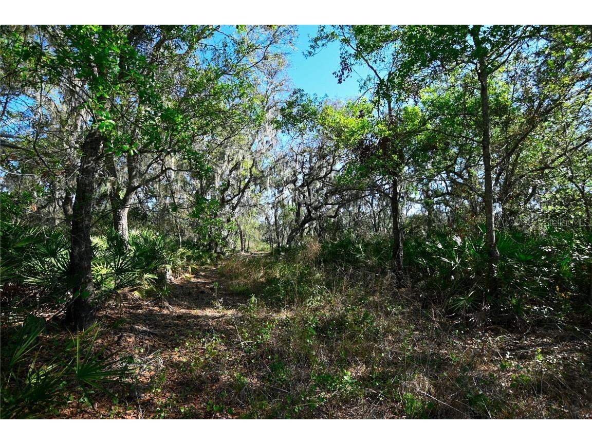 Pablo Island Road Groveland FL 34736 - BIG BLUFF LAKE R4909058 image10