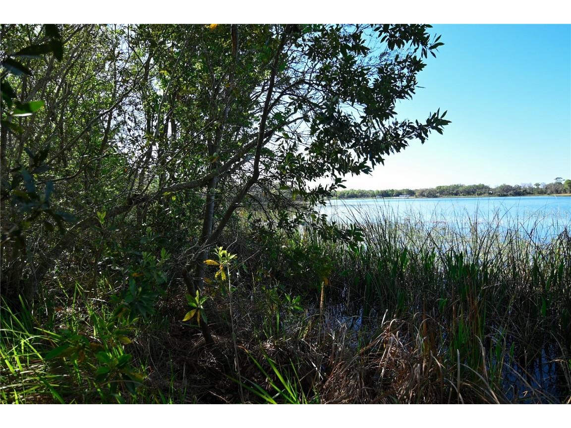 Pablo Island Road Groveland FL 34736 - BIG BLUFF LAKE R4909058 image11