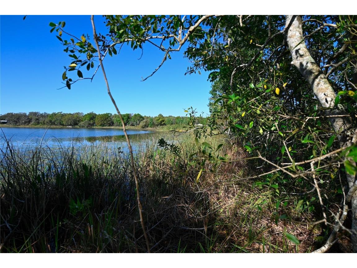 Pablo Island Road Groveland FL 34736 - BIG BLUFF LAKE R4909058 image12