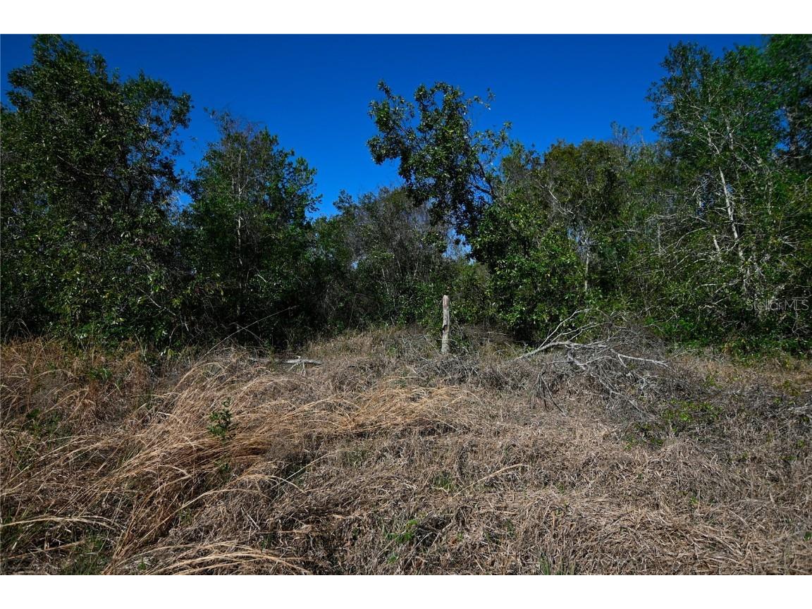 Pablo Island Road Groveland FL 34736 - BIG BLUFF LAKE R4909058 image13