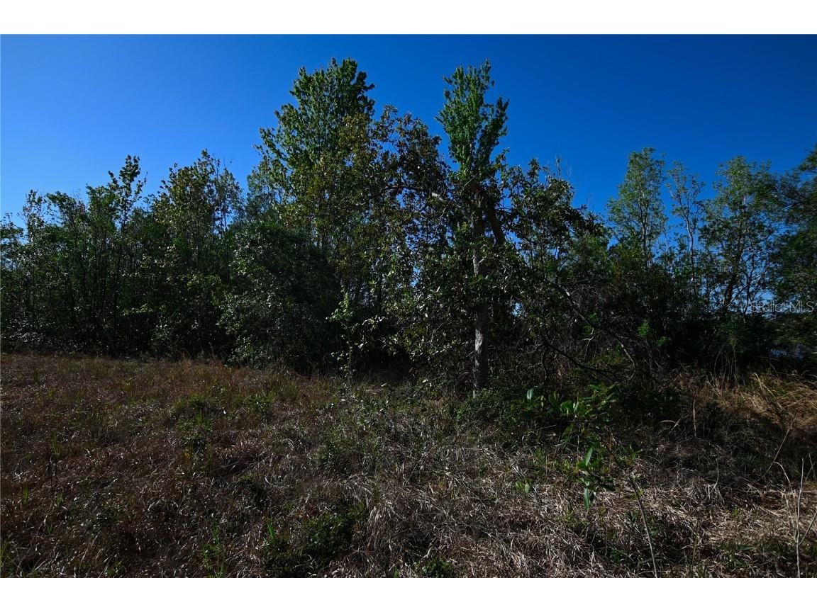 Pablo Island Road Groveland FL 34736 - BIG BLUFF LAKE R4909058 image14