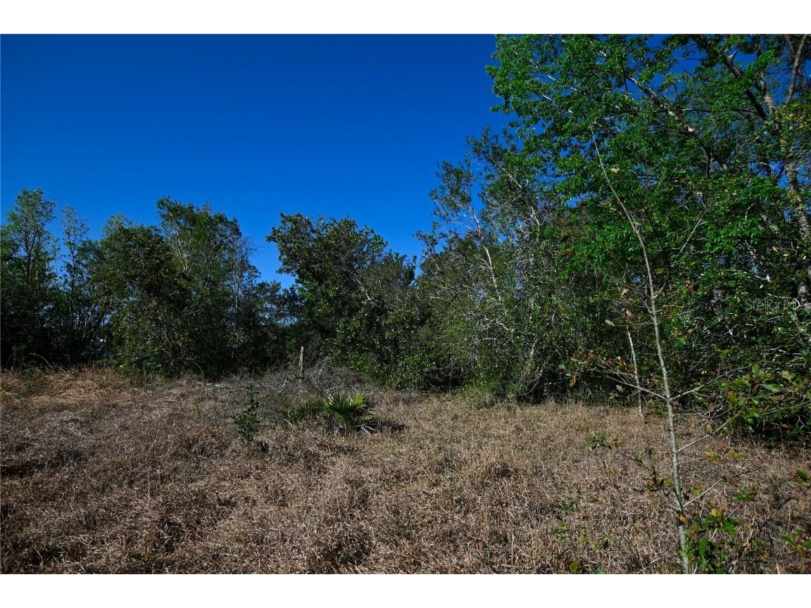 Pablo Island Road Groveland FL 34736 - BIG BLUFF LAKE R4909058 image15