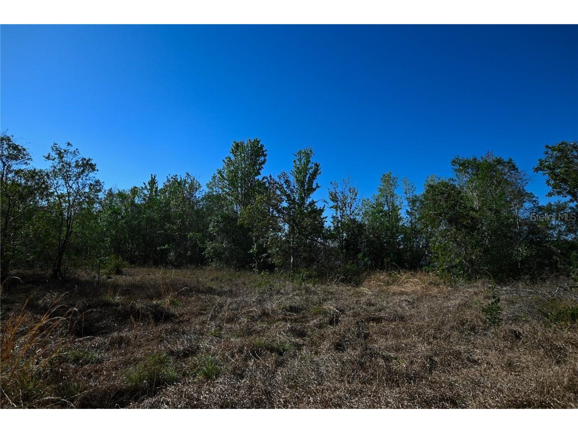 Pablo Island Road Groveland FL 34736 - BIG BLUFF LAKE R4909058 image16